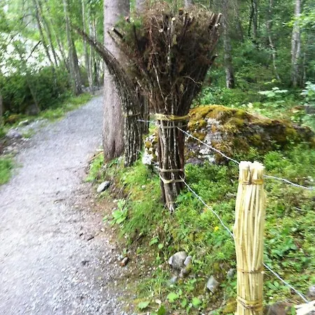 فندق Gletscherschlucht جريندلوالد