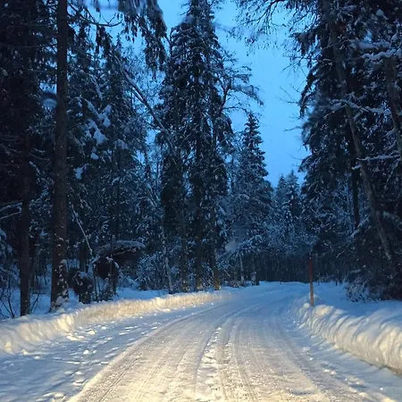 Ξενοδοχείο Gletscherschlucht Γκρίντελβαλντ