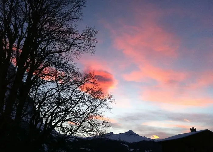 ホテル Gletscherschlucht 3*