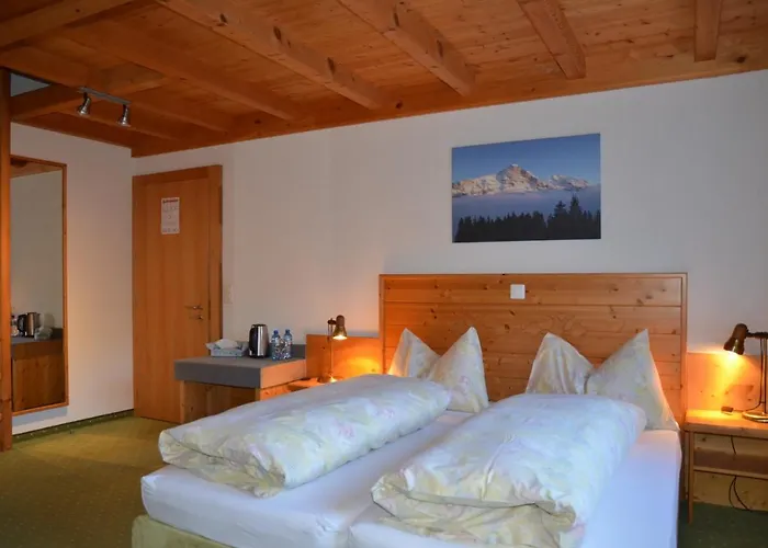 ホテル Gletscherschlucht 3*