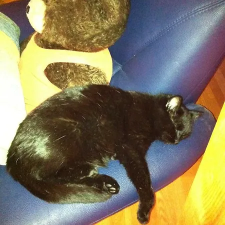 Gletscherschlucht 3*