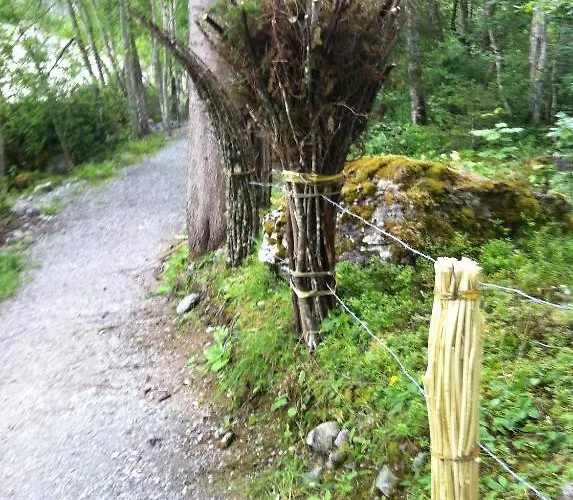 Hotel Gletscherschlucht Grindelwald